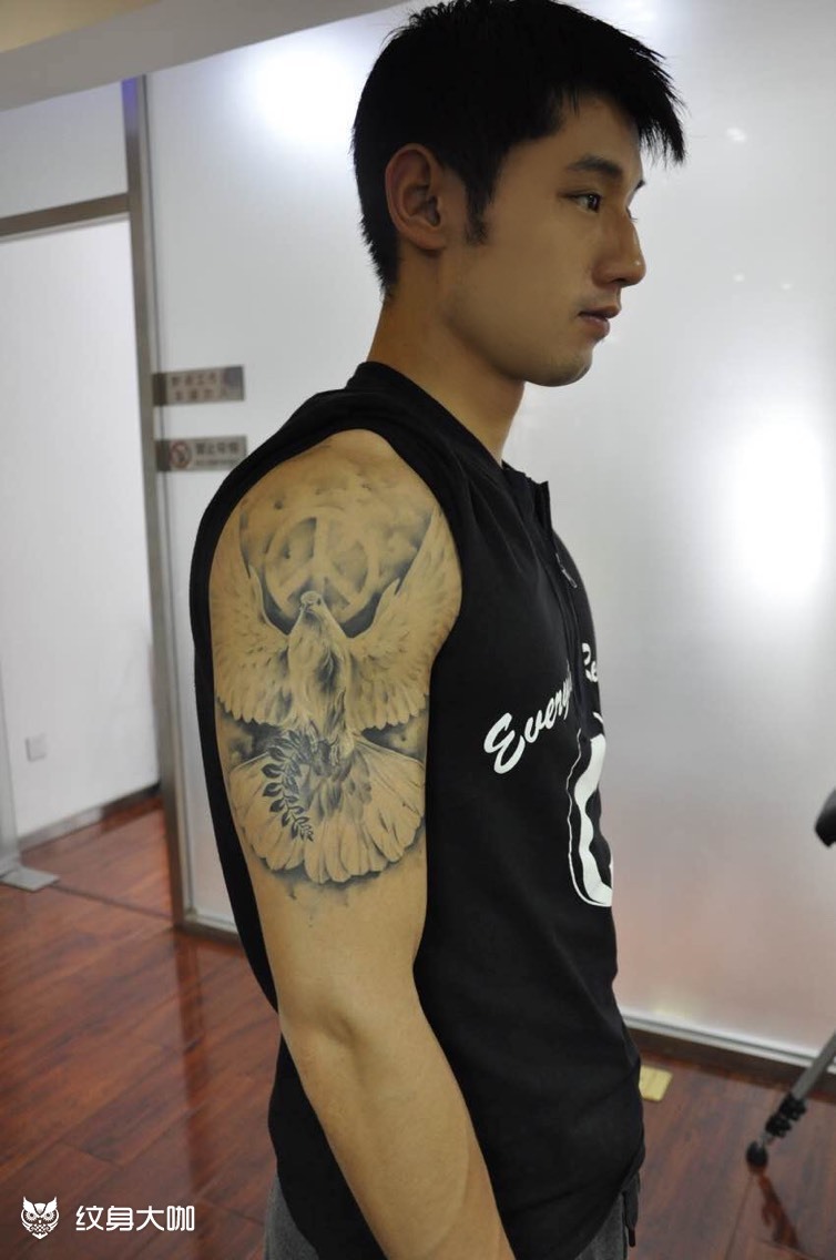 张继科和平鸽_纹身图案手稿图片_雷势文化-王雷的纹身作品集