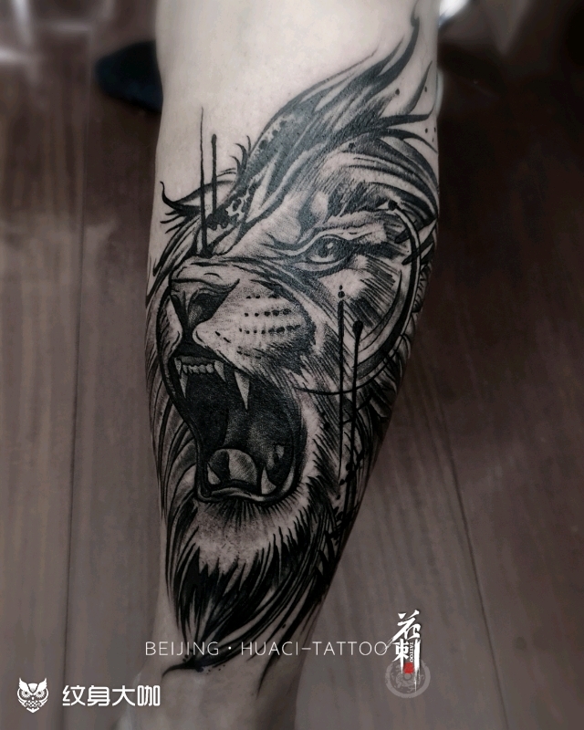 小腿雄狮_纹身图案手稿图片_花刺的纹身作品集