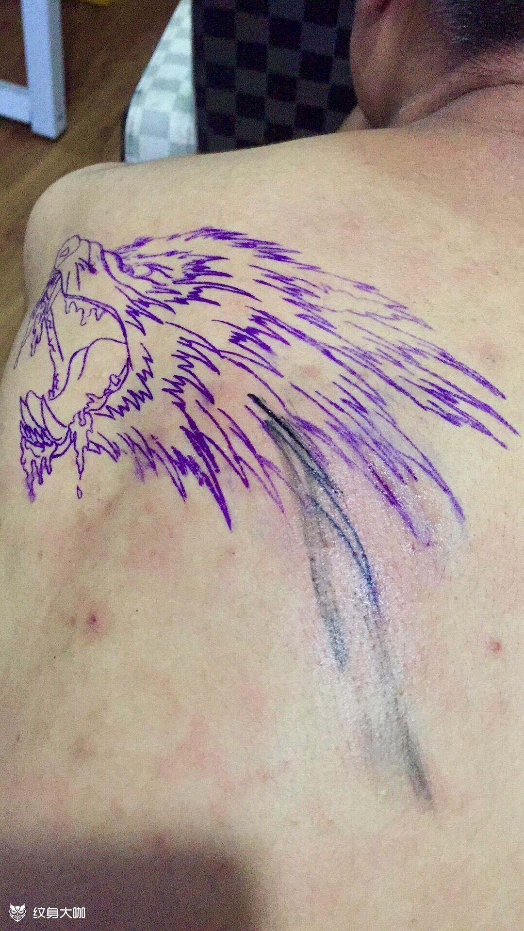 嗜血狼头_纹身图案手稿图片_姜永海的纹身作品集