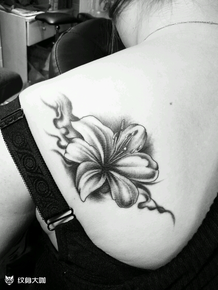 百合花_纹身图案手稿图片_罗保的纹身作品集
