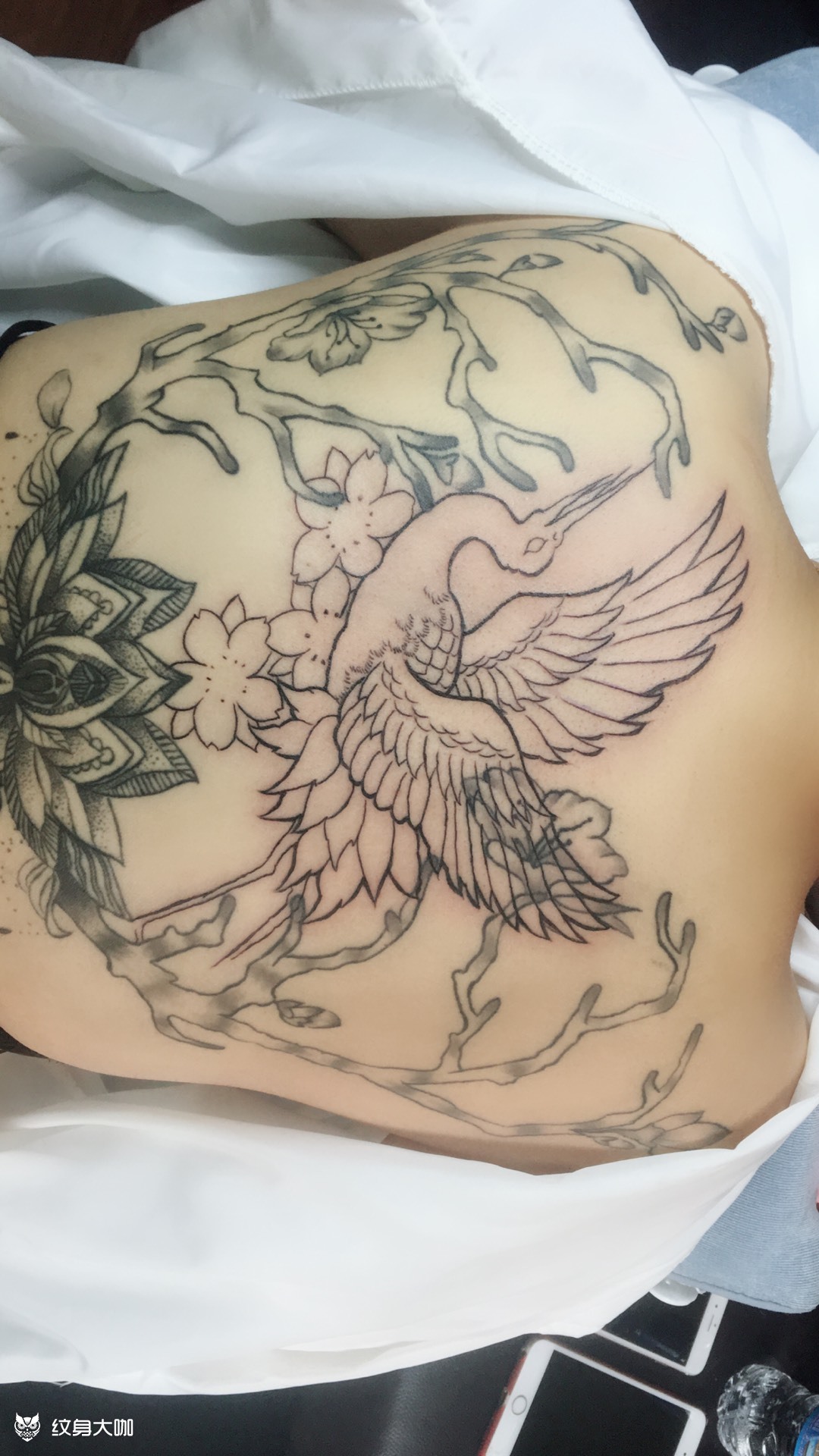 仙鹤线条_纹身图案手稿图片_森墨tattoo的纹身作品集