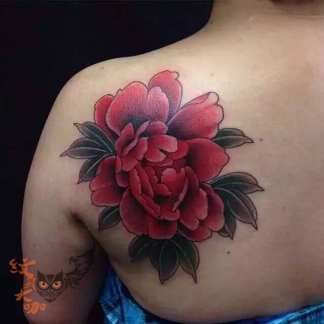 花魁牡丹_纹身图案手稿图片_何小五的纹身作品集