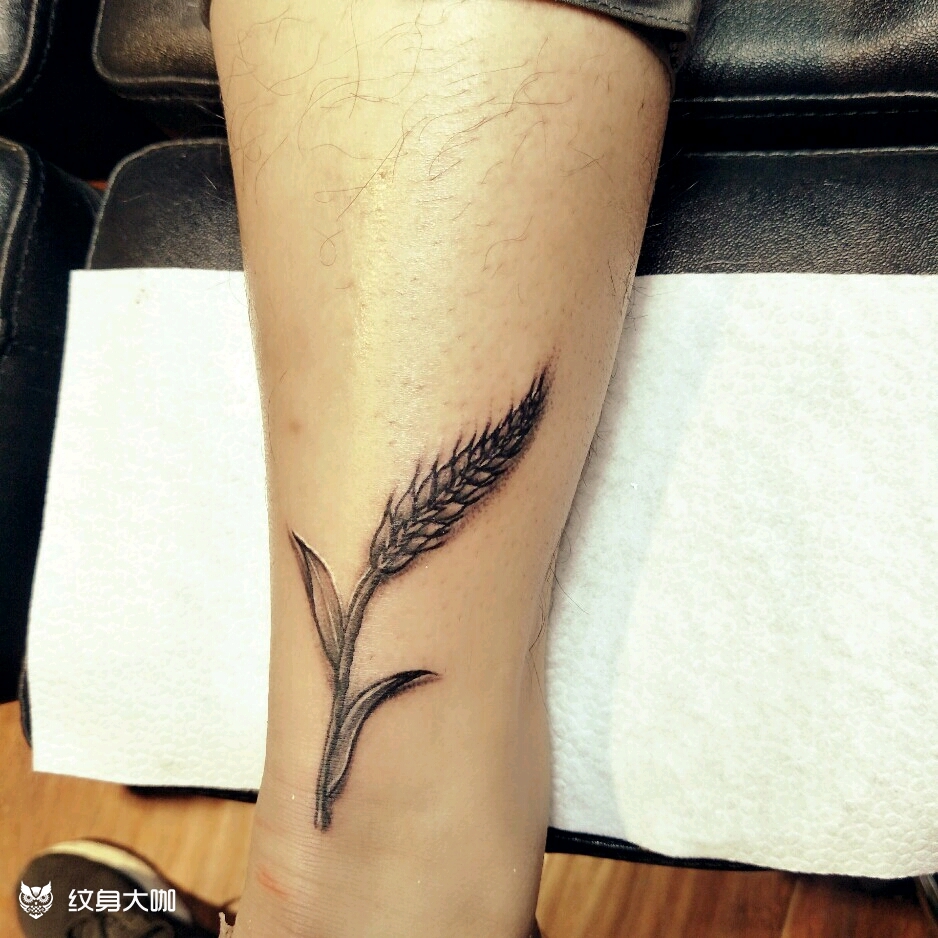 小腿麦穗_纹身图案手稿图片_王源的纹身作品集