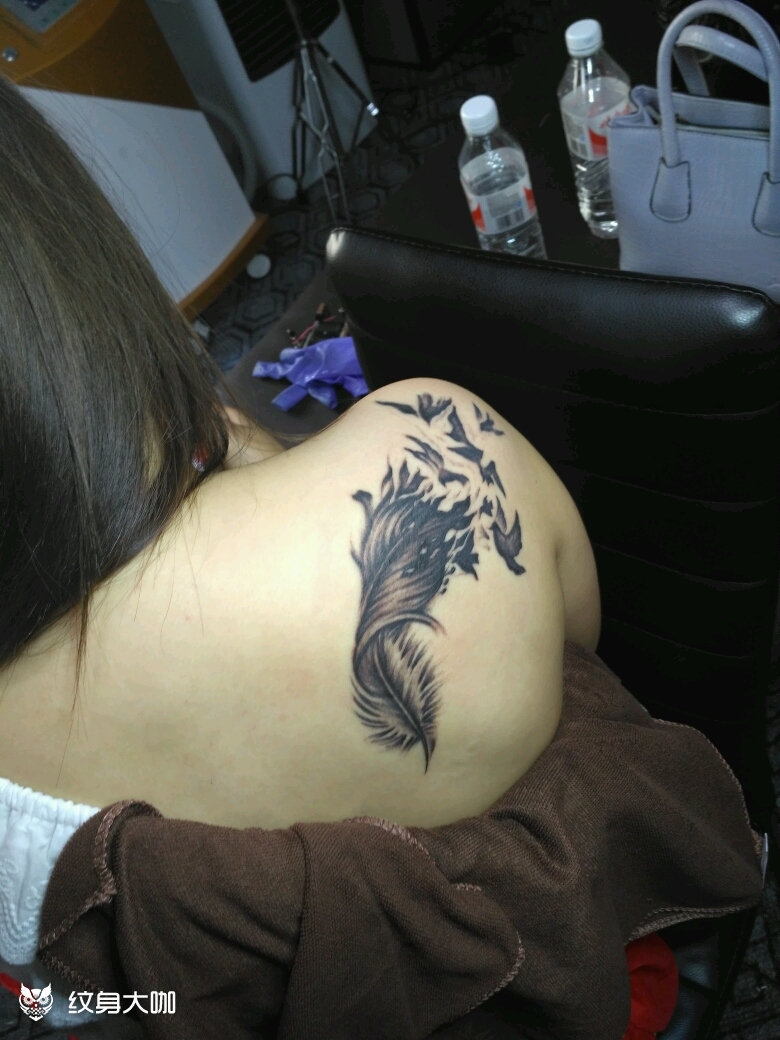 后肩羽毛_纹身图案手稿图片_陈建涛的纹身作品集