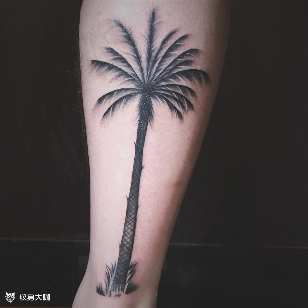 小腿,椰子树_纹身图案手稿图片_董一龙的纹身作品集