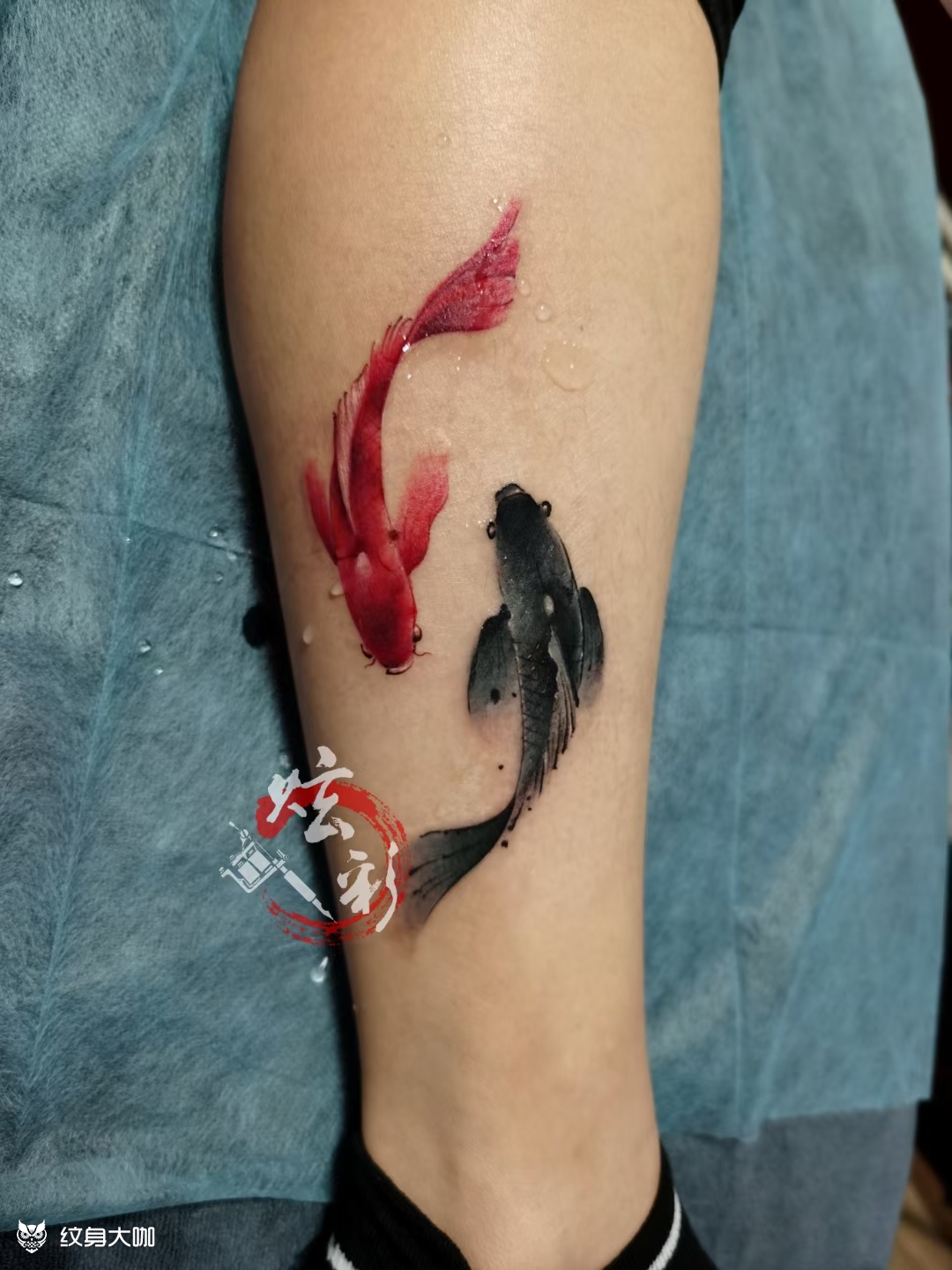 水墨鱼_纹身图案手稿图片_甄阳的纹身作品集