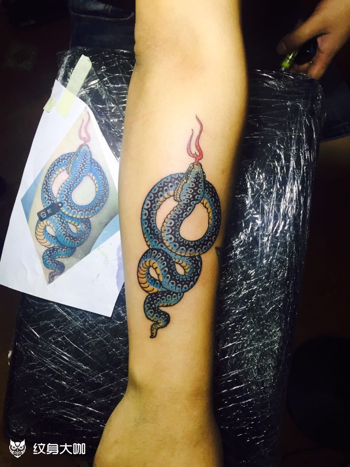 青蛇_纹身图案手稿图片_饶琦的纹身作品集