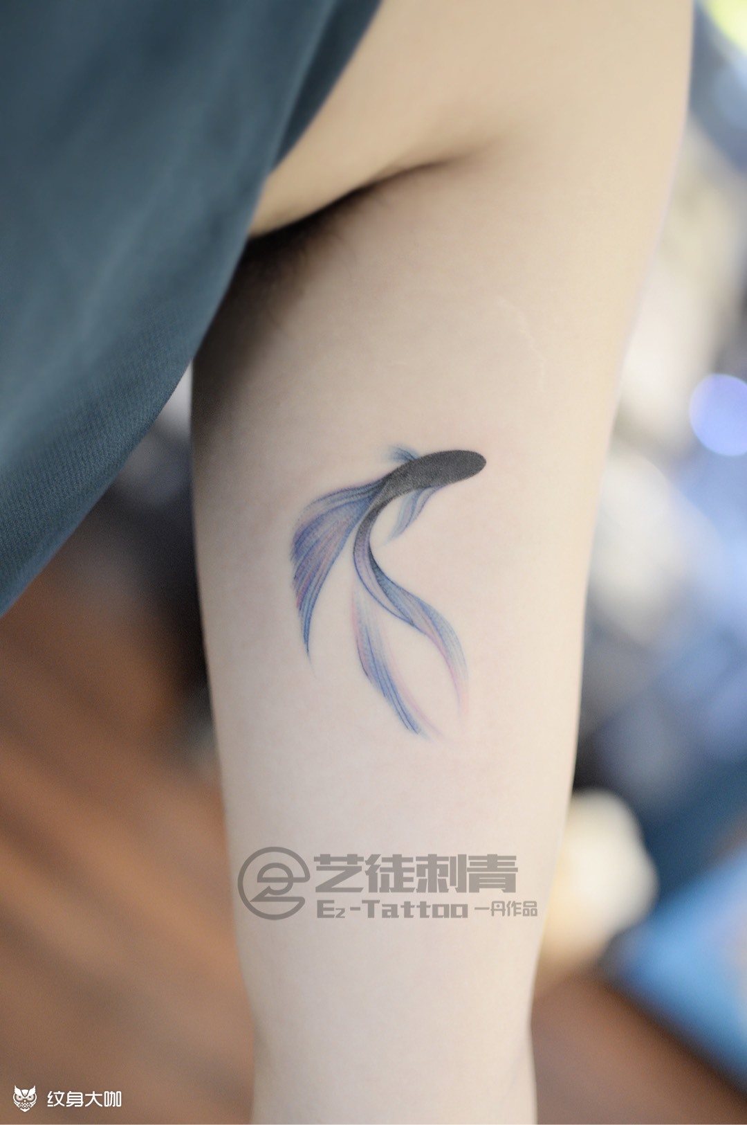 小清新斗鱼_纹身图案手稿图片_崔峣的纹身作品集