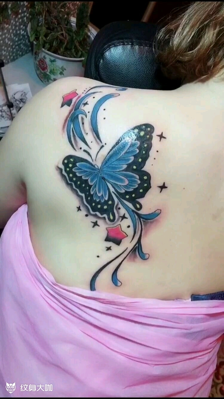 蝴蝶一只_纹身图案手稿图片_超艺纹身–阿龙的纹身作品集