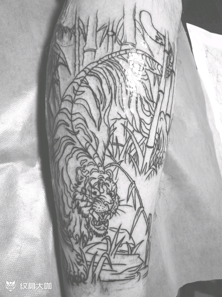 下山虎_纹身图案手稿图片_阿冰的纹身作品集
