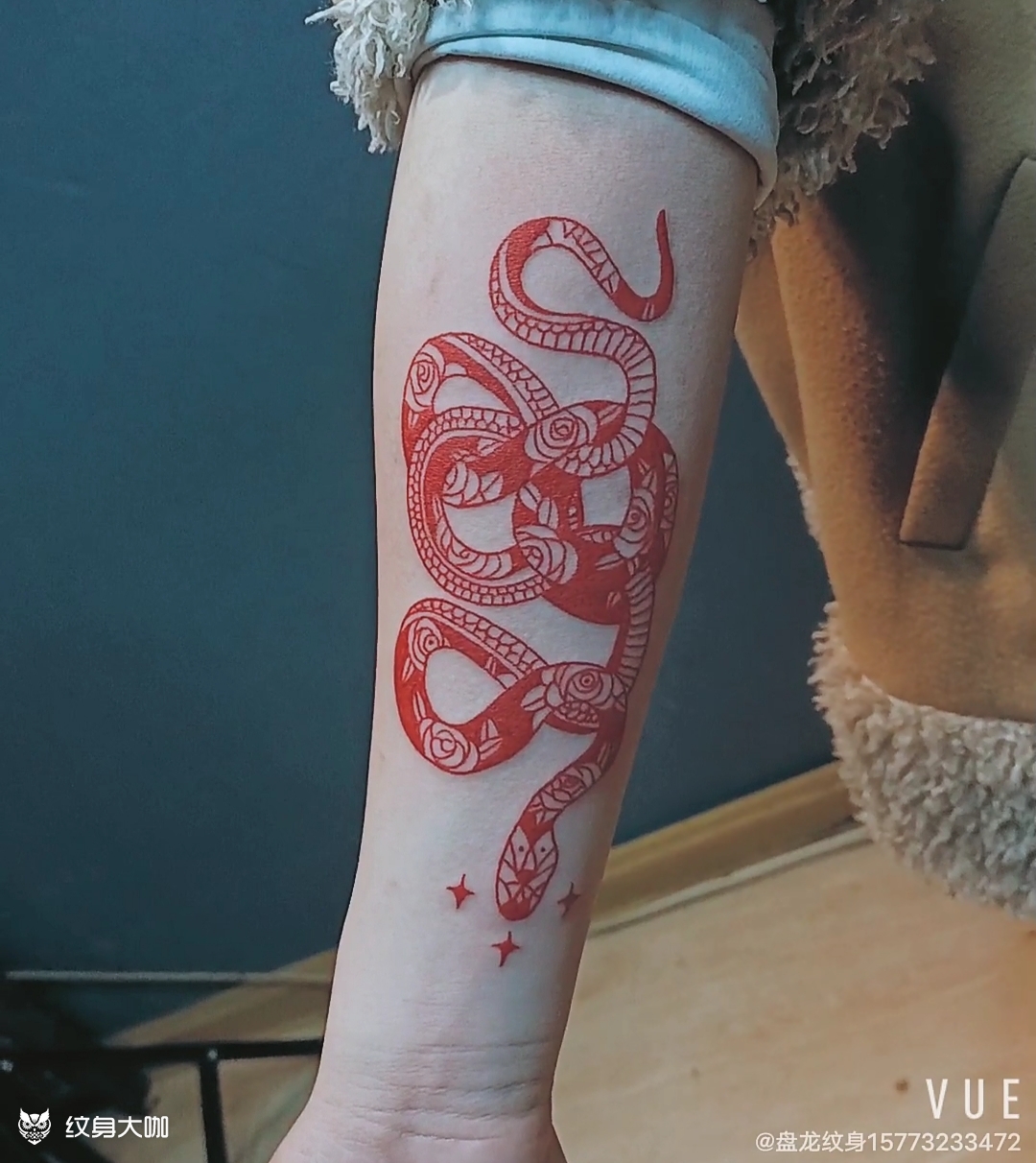 花蛇_紋身圖案手稿圖片_盤龍tattoo—酒的紋身作品集