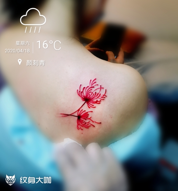 彼岸花_纹身图案手稿图片_星魂的纹身作品集