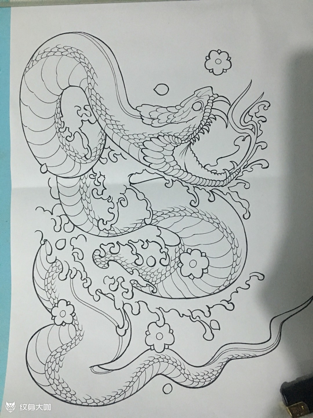 原创设计,肚子蛇,割线_纹身图案手稿图片_熊猫的纹身作品集