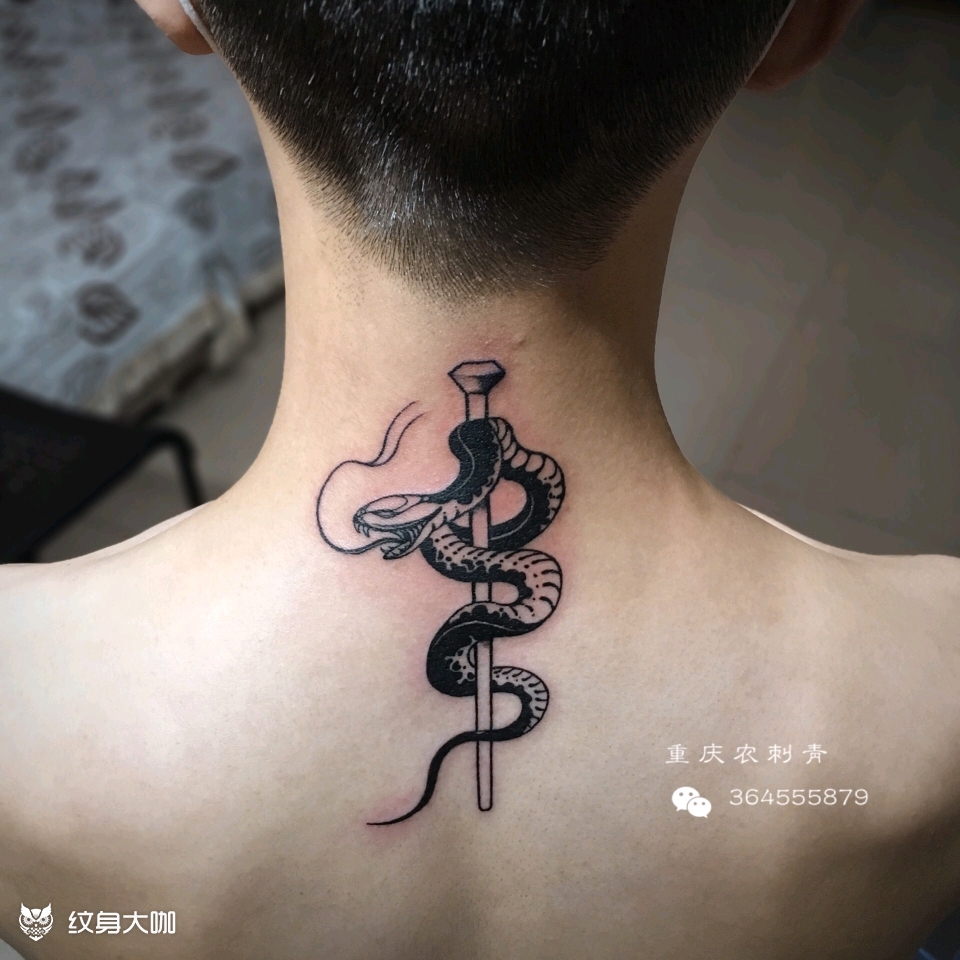 蛇杖_纹身图案手稿图片_……限时优惠中!……的纹身作品集