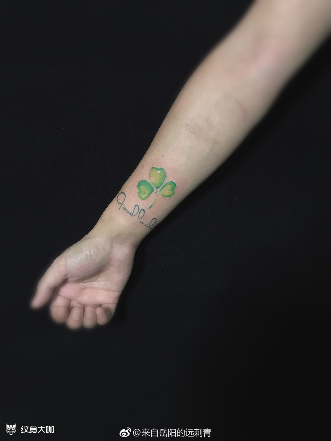 三叶草7815_纹身图案手稿图片_姚志远的纹身作品集