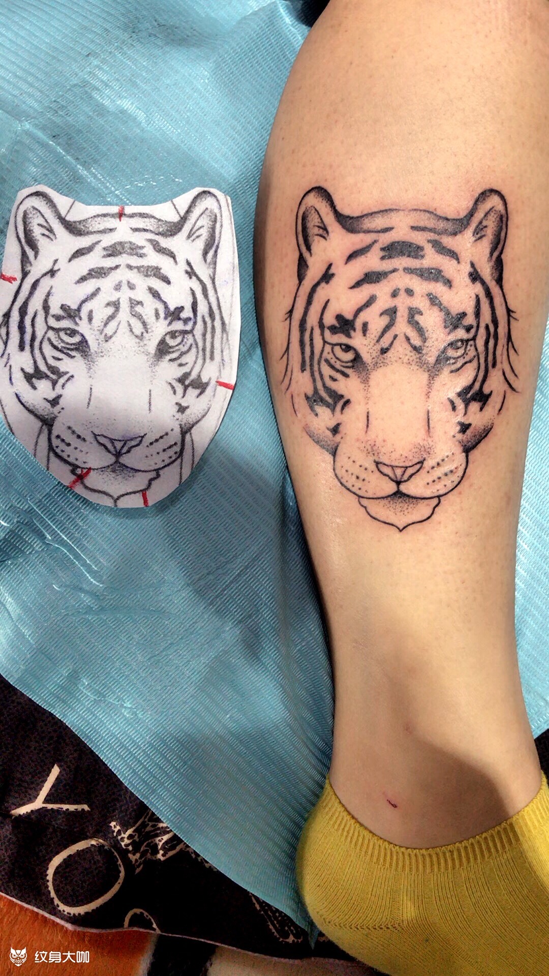 小老虎b_纹身图案手稿图片_林墨华的纹身作品集