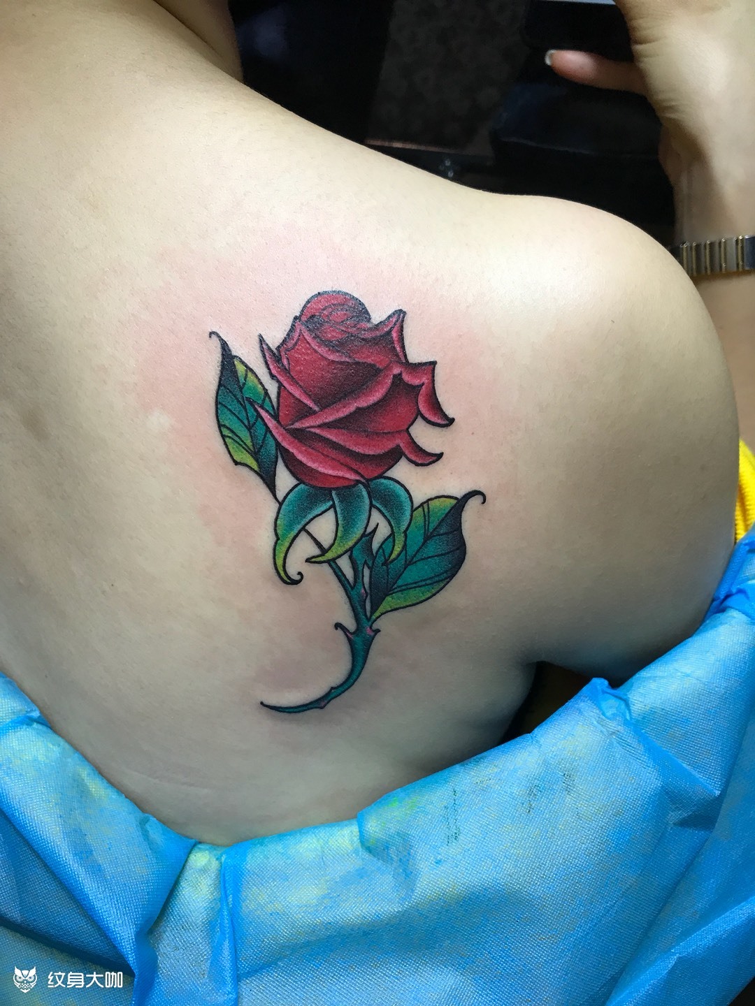 玫瑰_纹身图案手稿图片_道格tattoo的纹身作品集