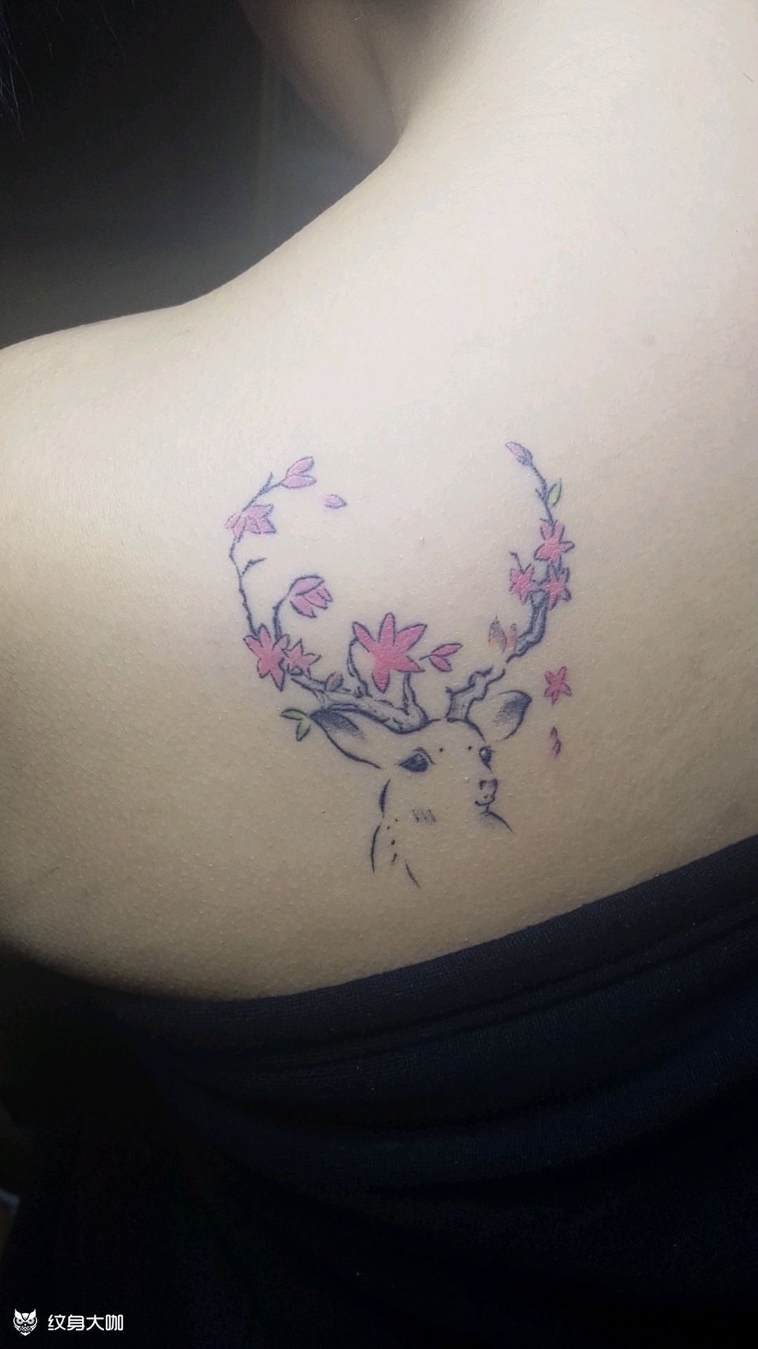 小鹿_纹身图案手稿图片_捌玖 tattoo的纹身作品集