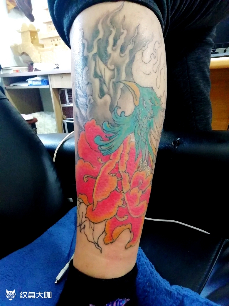 凤凰_纹身图案手稿图片_聚龙堂的纹身作品集