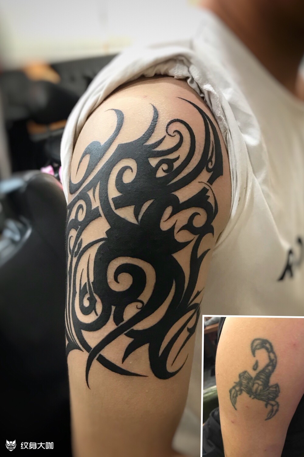 遮盖旧版蝎子_纹身图案手稿图片_子君的纹身作品集