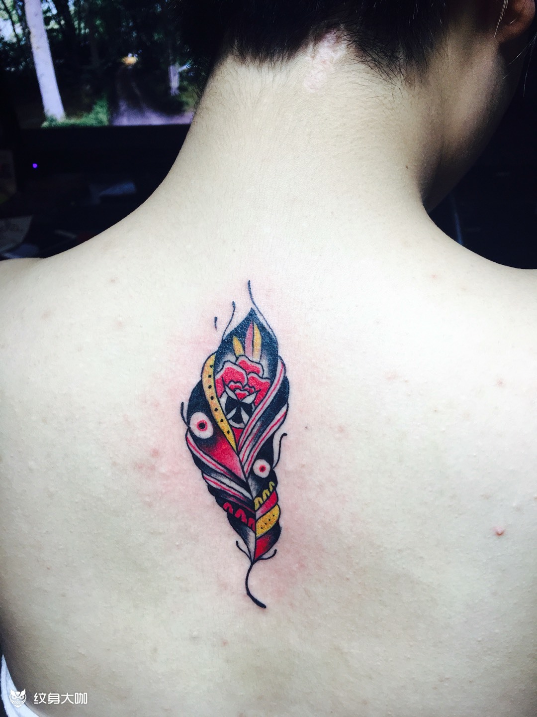 old school 羽毛_纹身图案手稿图片_紫龙的纹身作品集