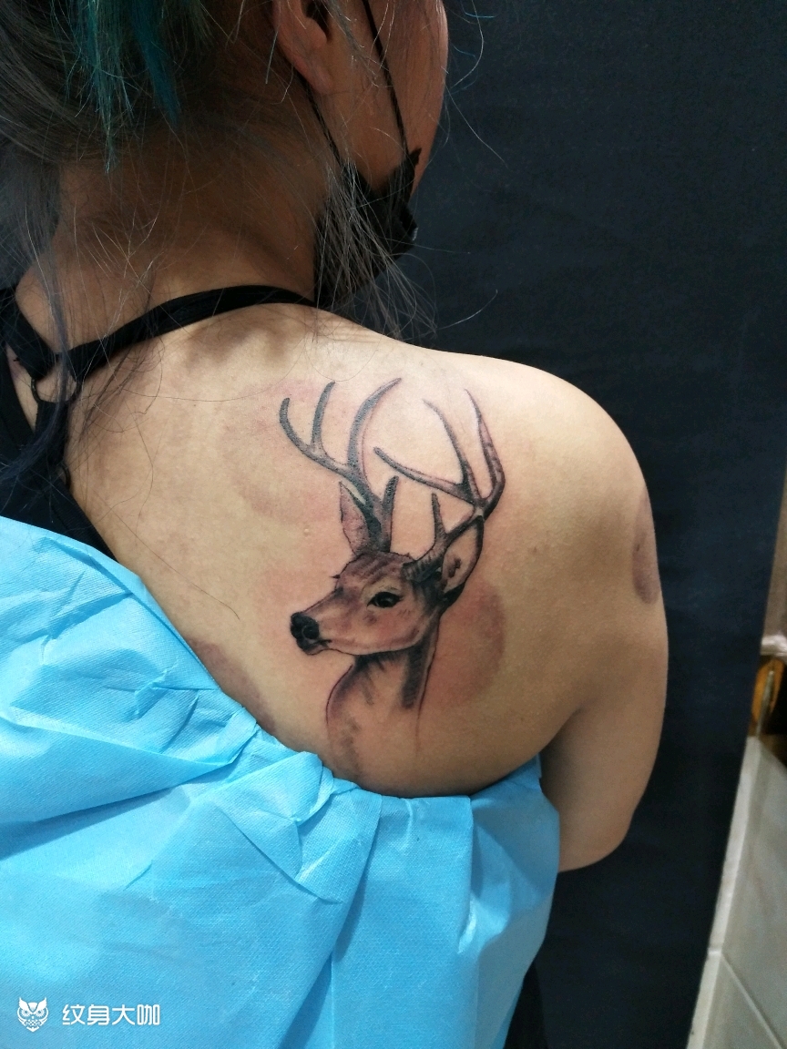 写实小鹿_纹身图案手稿图片_胡靖祥的纹身作品集