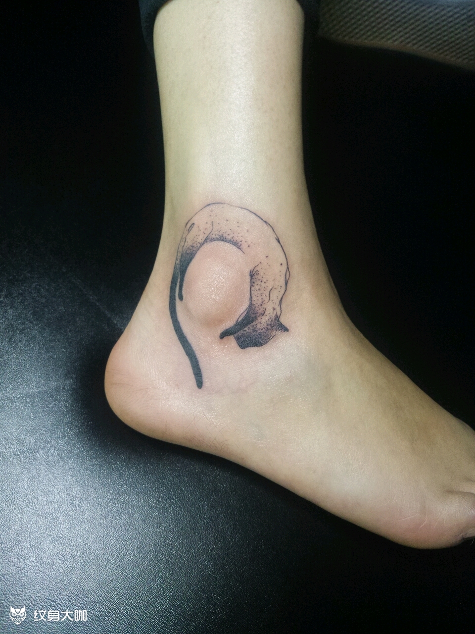 暹罗猫点刺_纹身图案手稿图片_刘佳_tattoo的纹身作品集