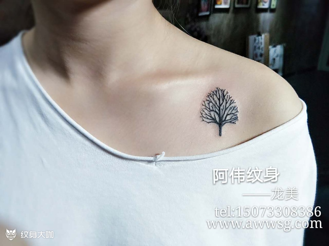 生命树_纹身图案手稿图片_龙美的纹身作品集