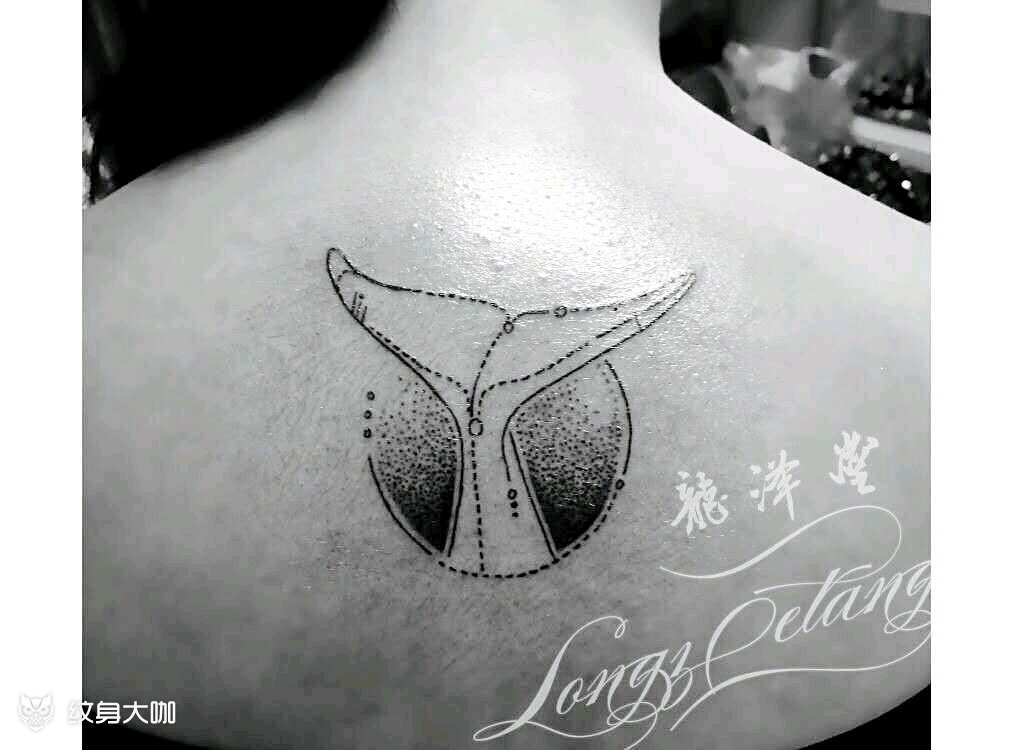 点刺 鲸鱼尾巴_纹身图案手稿图片_付博涵的纹身作品集