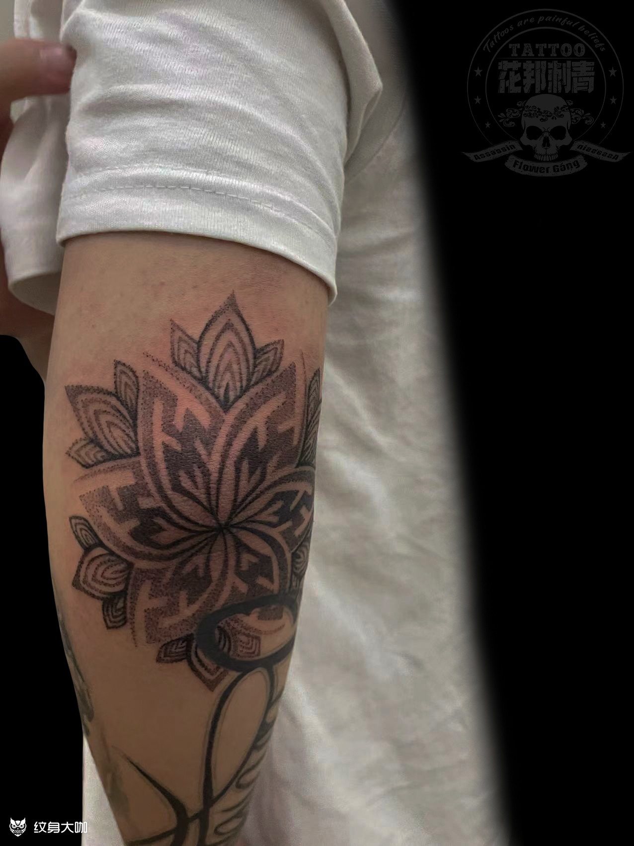 爆肘曼陀罗_纹身图案手稿图片_花邦刺客的纹身作品集