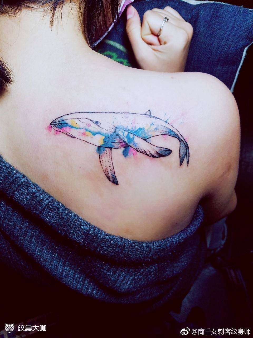 喷墨鲸鱼_纹身图案手稿图片_耍大牌的纹身作品集