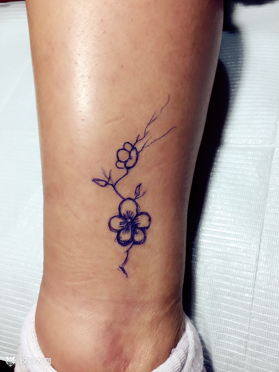 及兴发挥,手绘梅花……_纹身图案手稿图片_火麒麟【楠】的纹身作品集