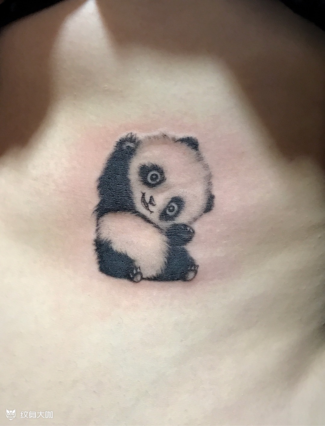 熊猫_纹身图案手稿图片_张鹏展的纹身作品集