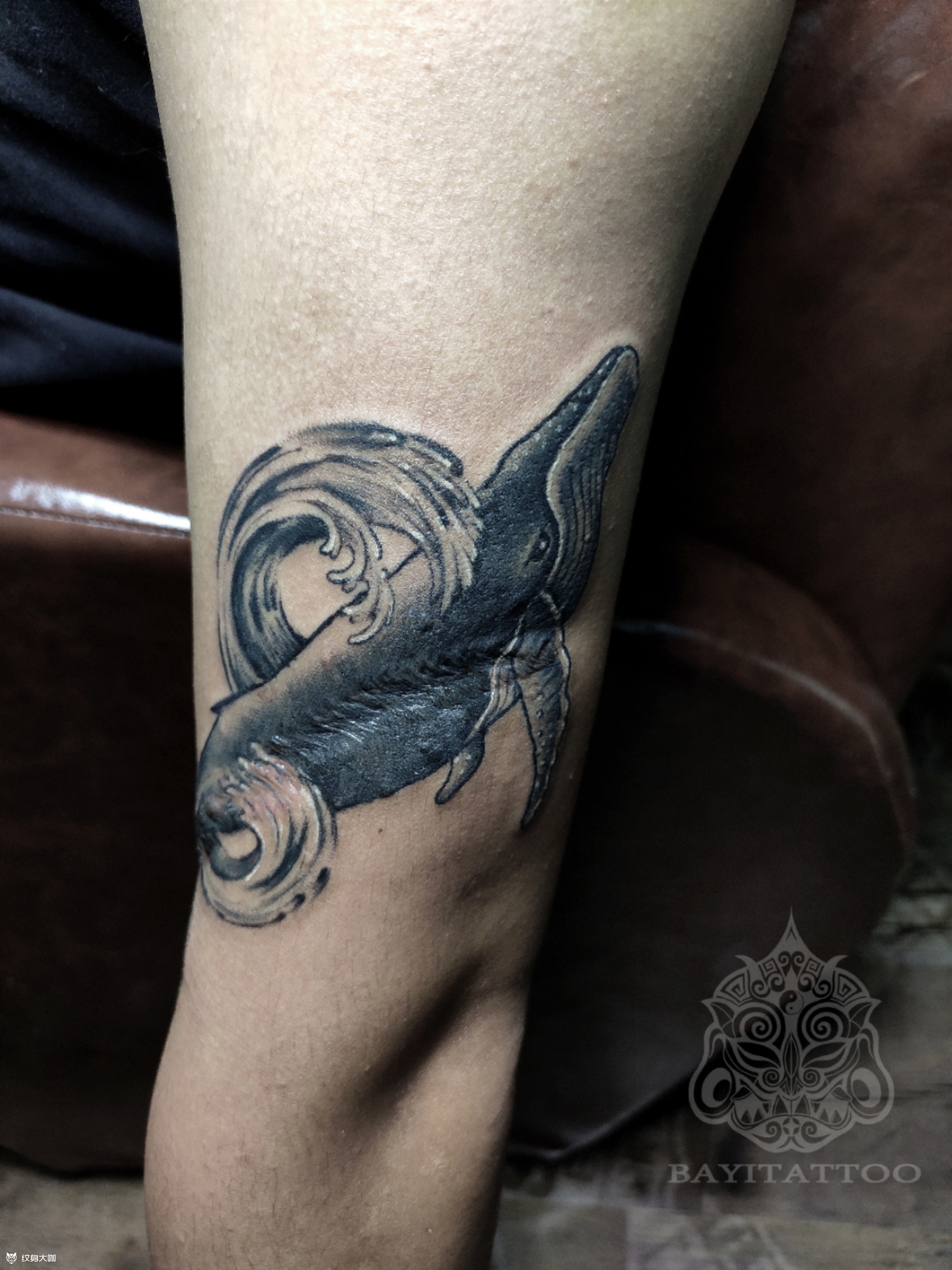 疤痕遮盖(鲲)_纹身图案手稿图片_巴依的纹身作品集