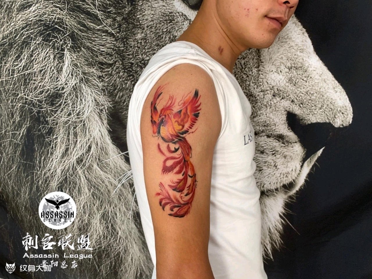 不死鸟_纹身图案手稿图片_刺客联盟的纹身作品集