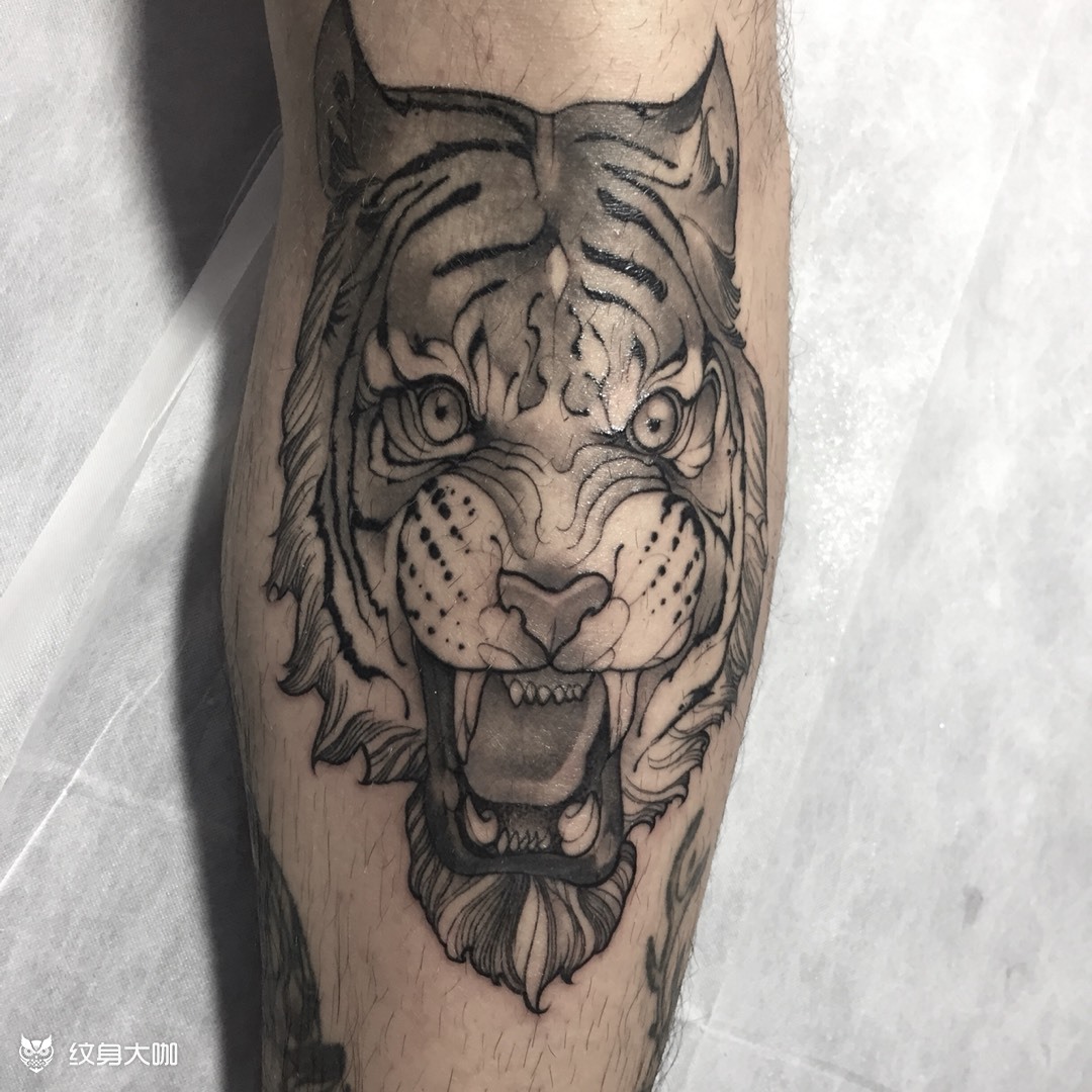 膝下虎头_纹身图案手稿图片_朱师傅的纹身作品集