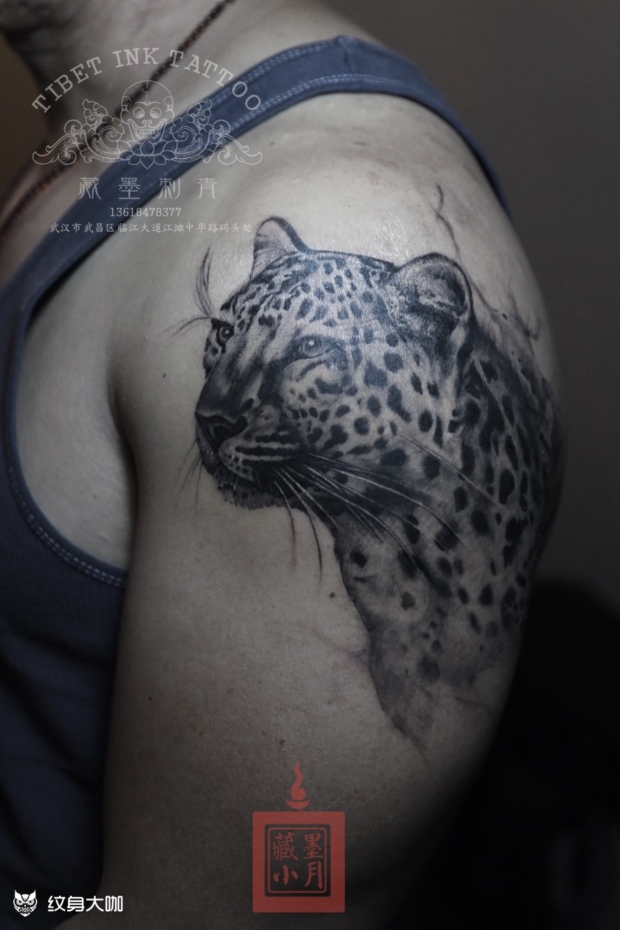 豹子_纹身图案手稿图片_张赏月的纹身作品集