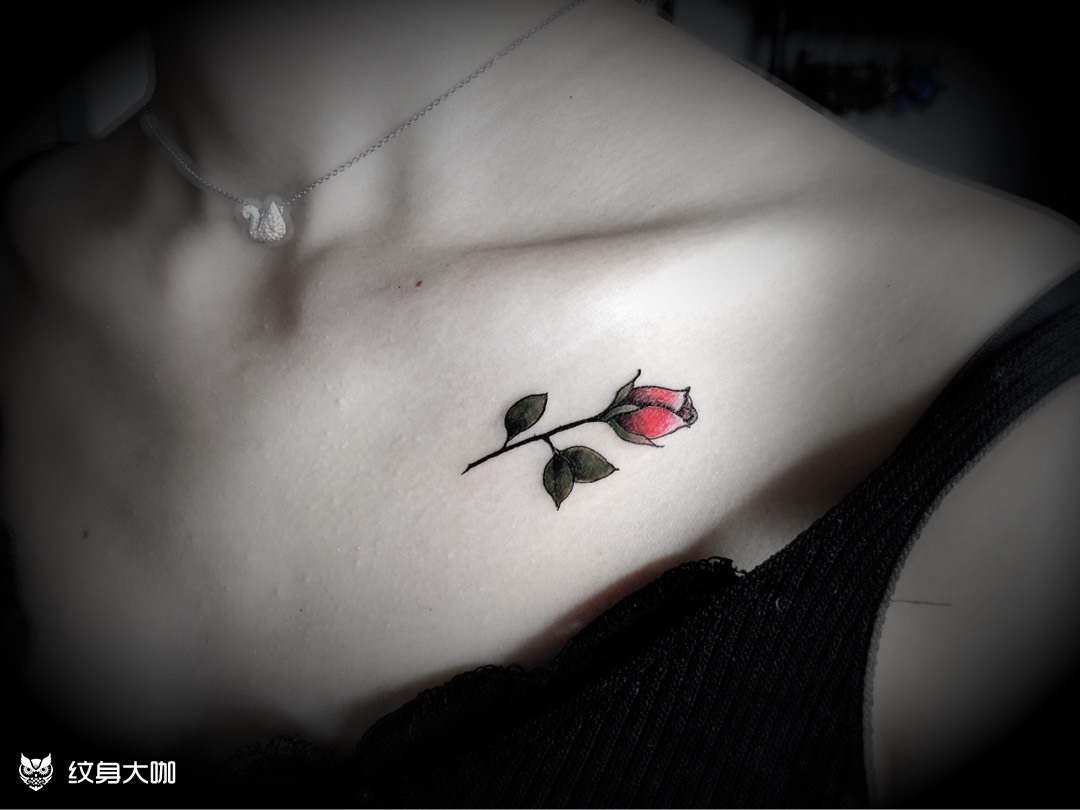 小玫瑰_纹身图案手稿图片_小马gavin的纹身作品集