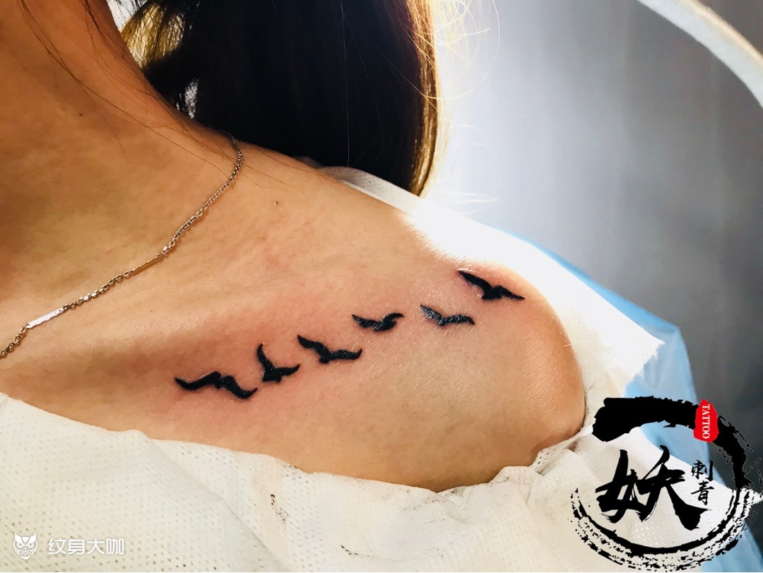 小海鸥_纹身图案手稿图片_妖怪的纹身作品集