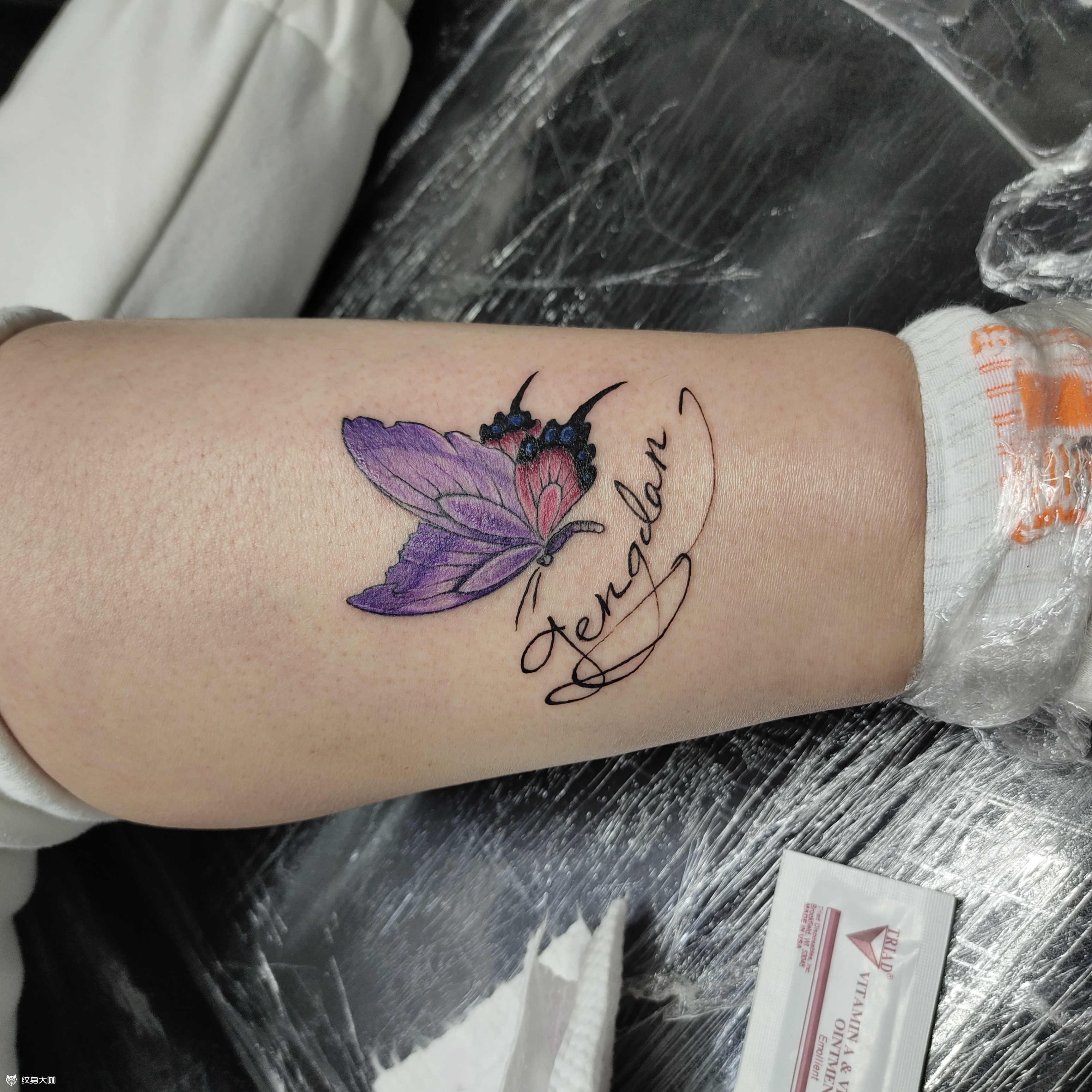 蝴蝶_纹身图案手稿图片_炎凉艺术的纹身作品集