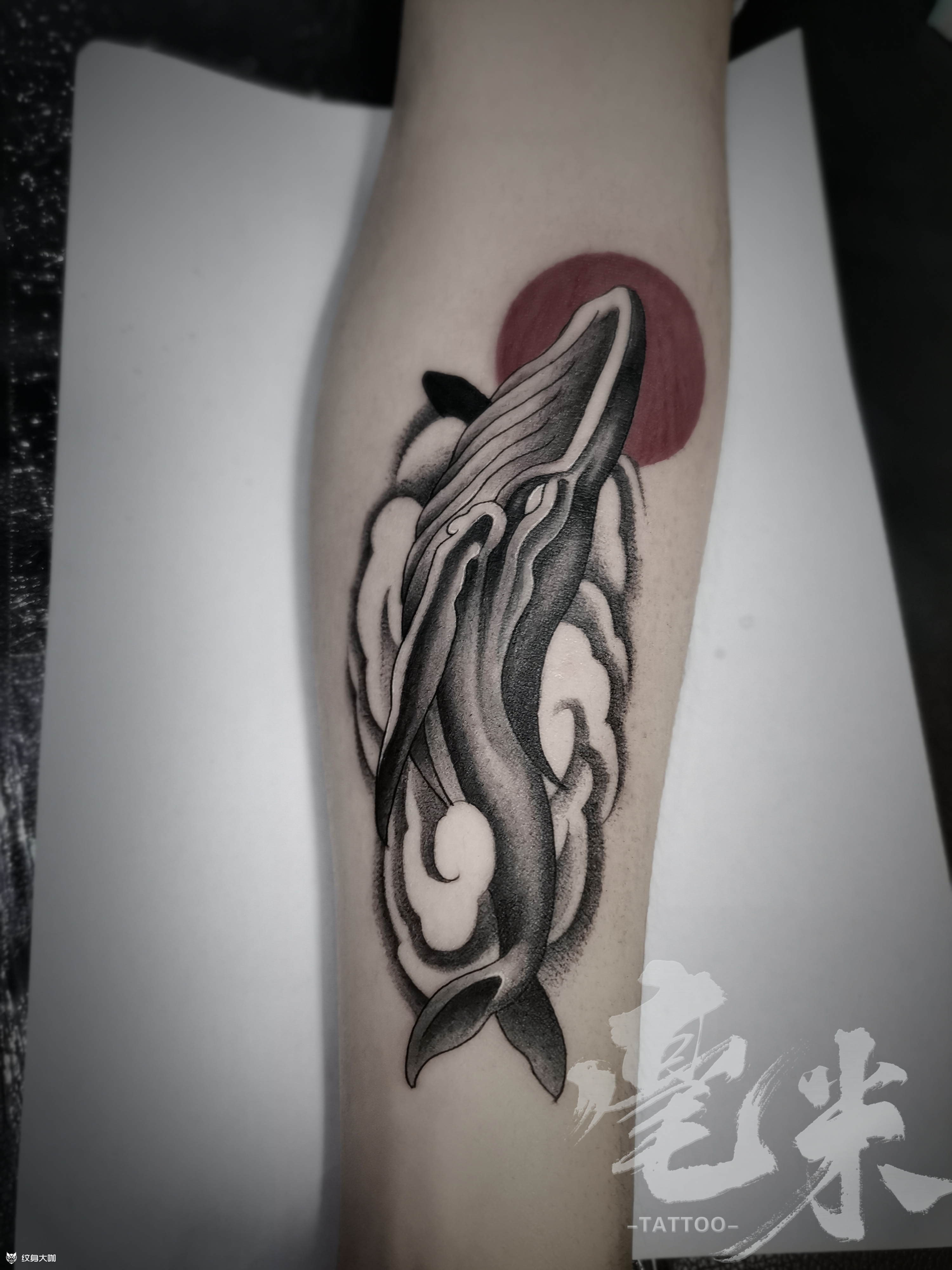 鲸鱼_纹身图案手稿图片_ming的纹身作品集