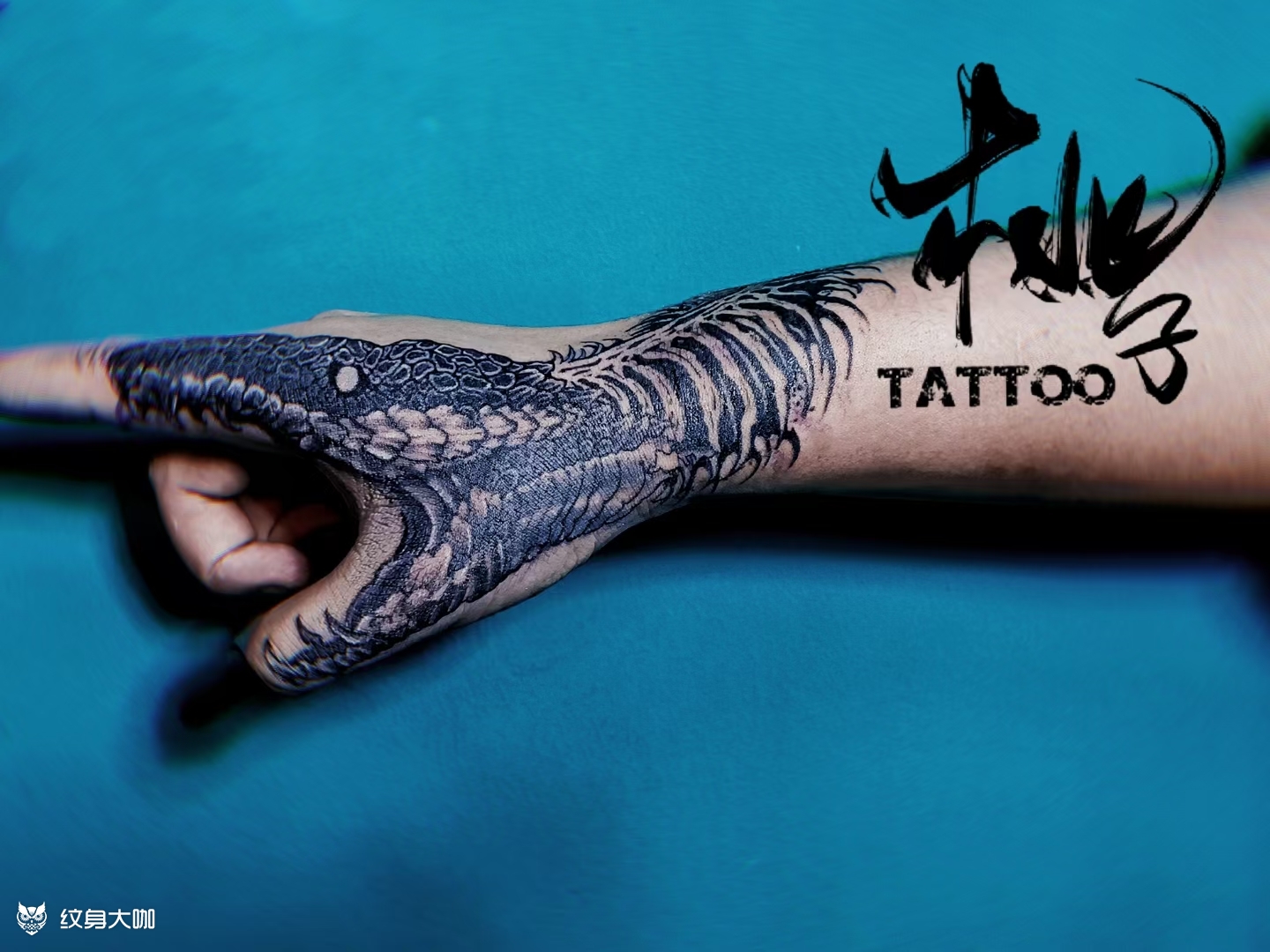 蛇_纹身图案手稿图片_桃子-孺的纹身作品集