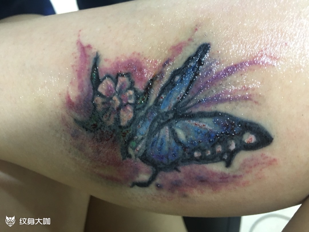 蝴蝶遮疤_纹身图案手稿图片_金玉亮的纹身作品集