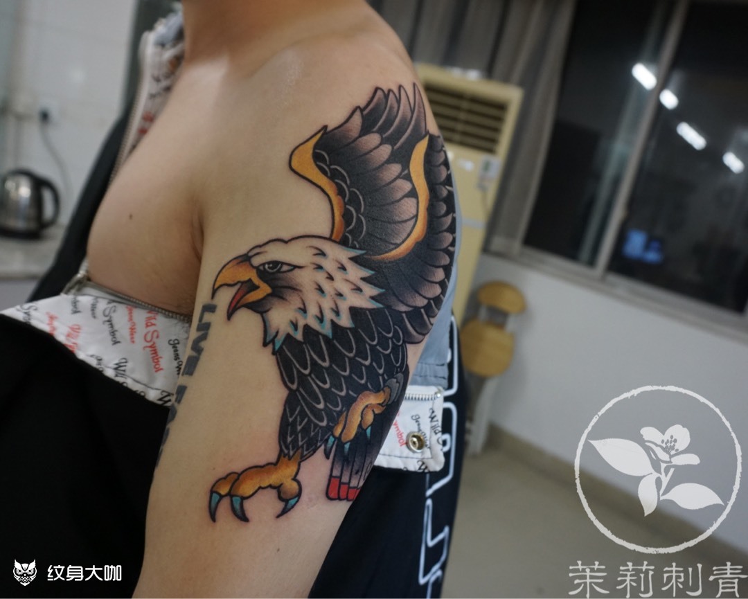 老鹰_纹身图案手稿图片_茉莉的纹身作品集
