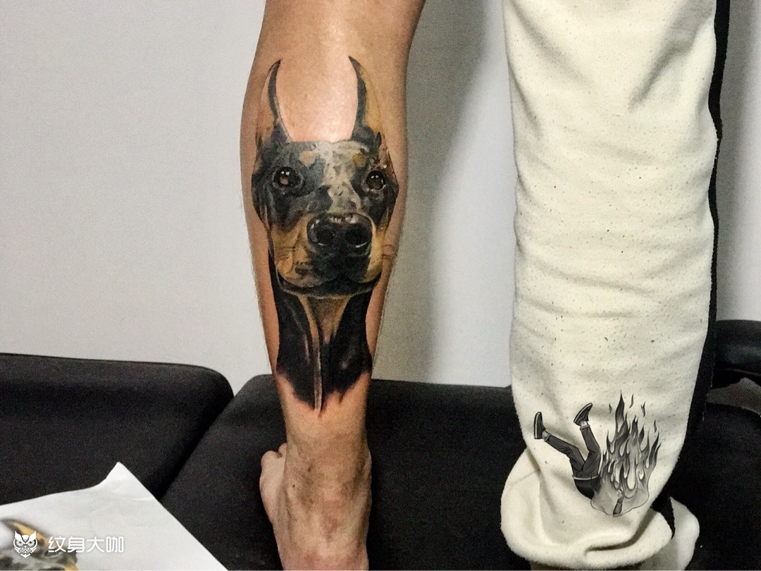 杜宾gucci_纹身图案手稿图片_张艺竞的纹身作品集