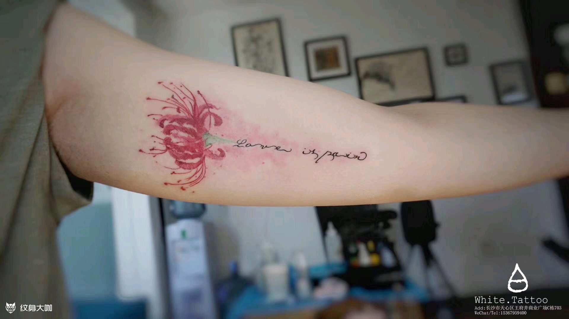 彼岸花字母_纹身图案手稿图片_鱼肚白的纹身作品集