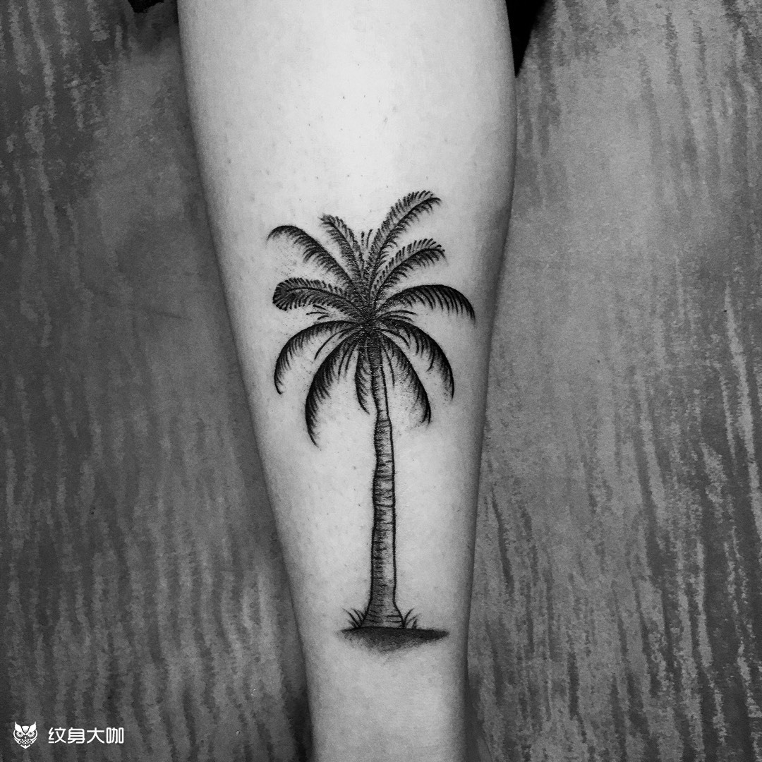 椰树_纹身图案手稿图片_a9的纹身作品集