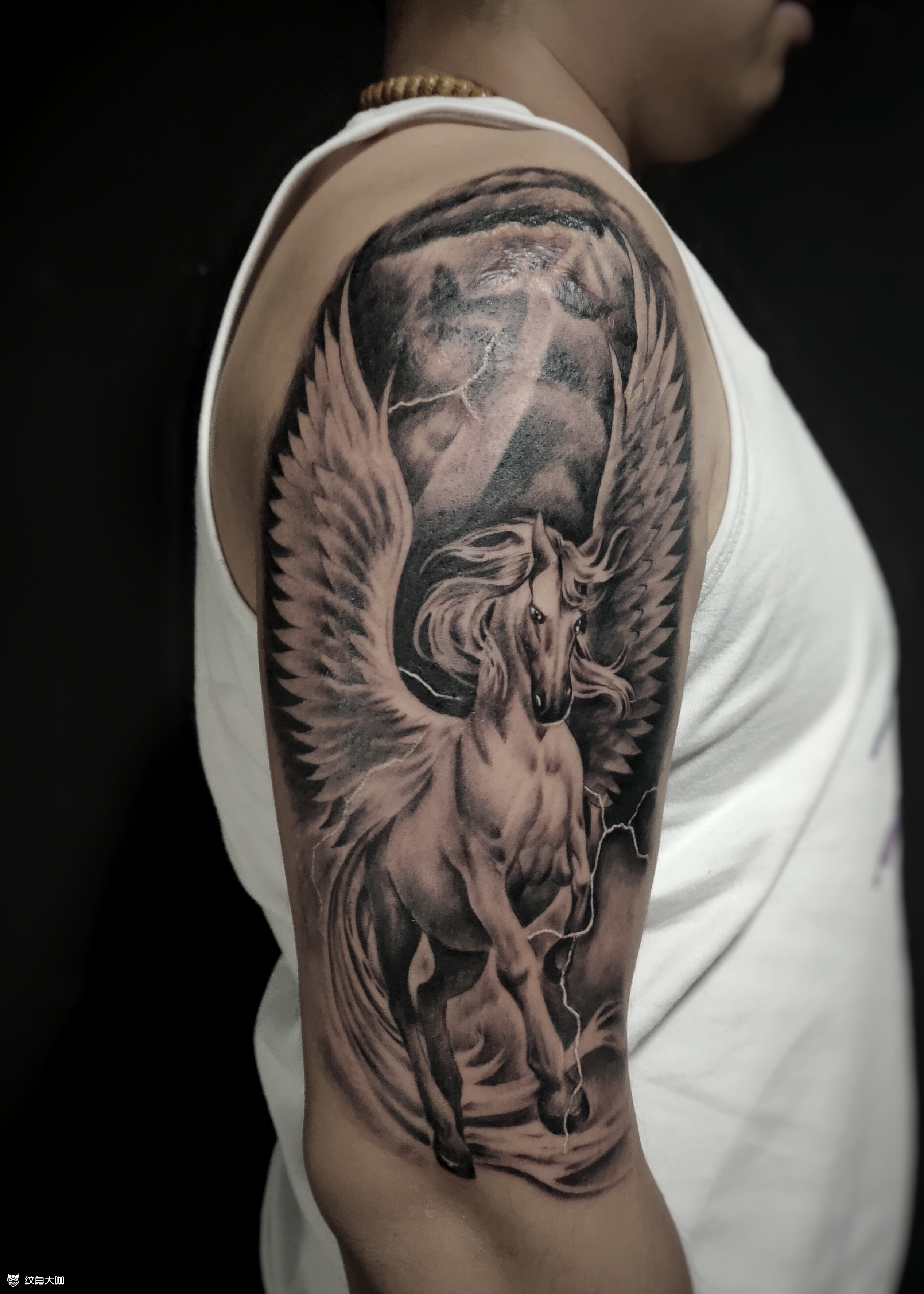 飞马遮盖疤痕_纹身图案手稿图片_楷哥的纹身作品集