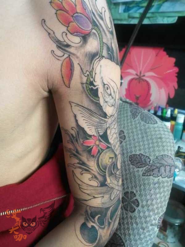 荷花鲤鱼_纹身图案手稿图片_阿进的纹身作品集