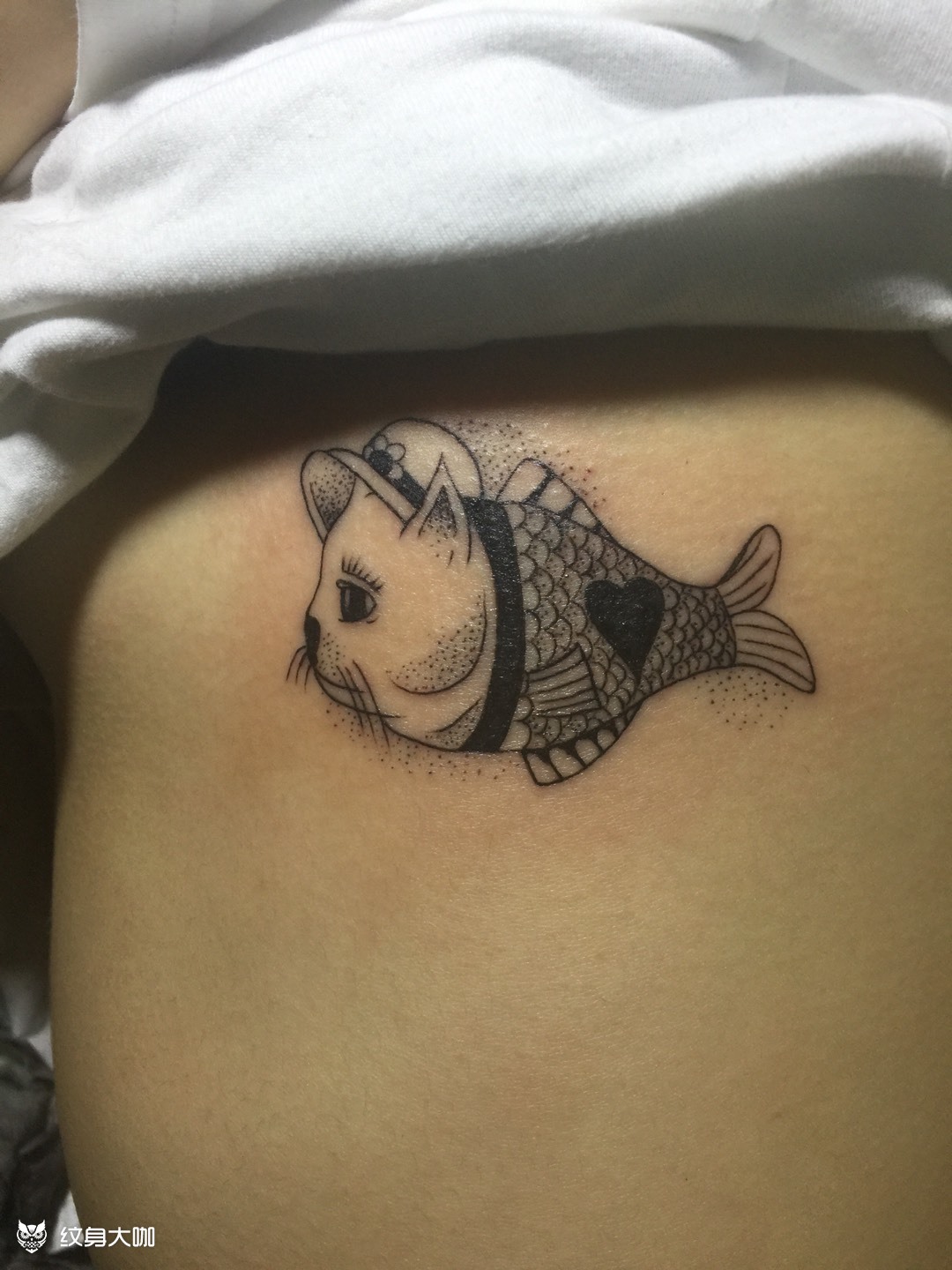 猫鱼_纹身图案手稿图片_连云港墟沟胖子纹身的纹身作品集